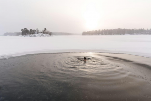 Julkkisten lempiharrastukset