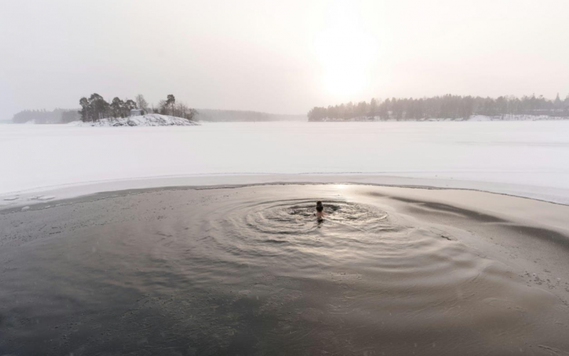 Julkkisten lempiharrastukset